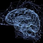 Daftar 7 Tips Sehari-Hari agar Memori Otak Kamu Tetap Kuat