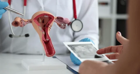 Panduan Memilih Dokter Spesialis Kesehatan Reproduksi