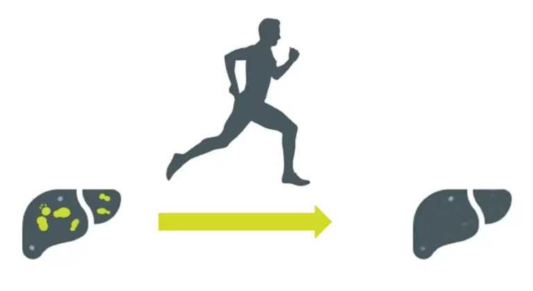 10 Olahraga yang Mendukung Fungsi Hati