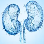 10 Langkah Mudah Mempertahankan Fungsi Ginjal Optimal