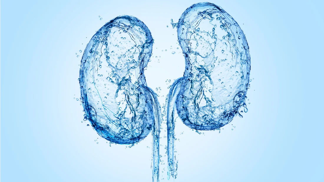 10 Langkah Mudah Mempertahankan Fungsi Ginjal Optimal
